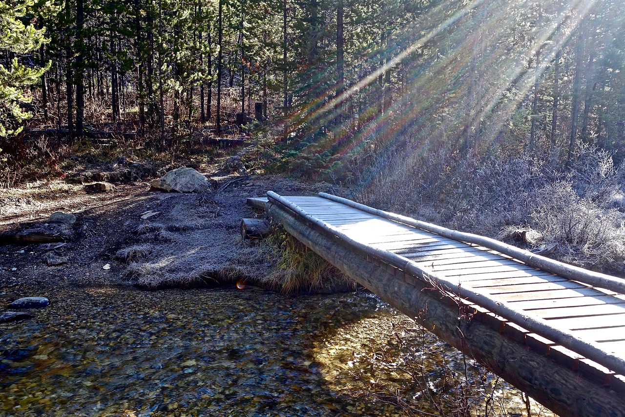 sun rays light bridge free photo