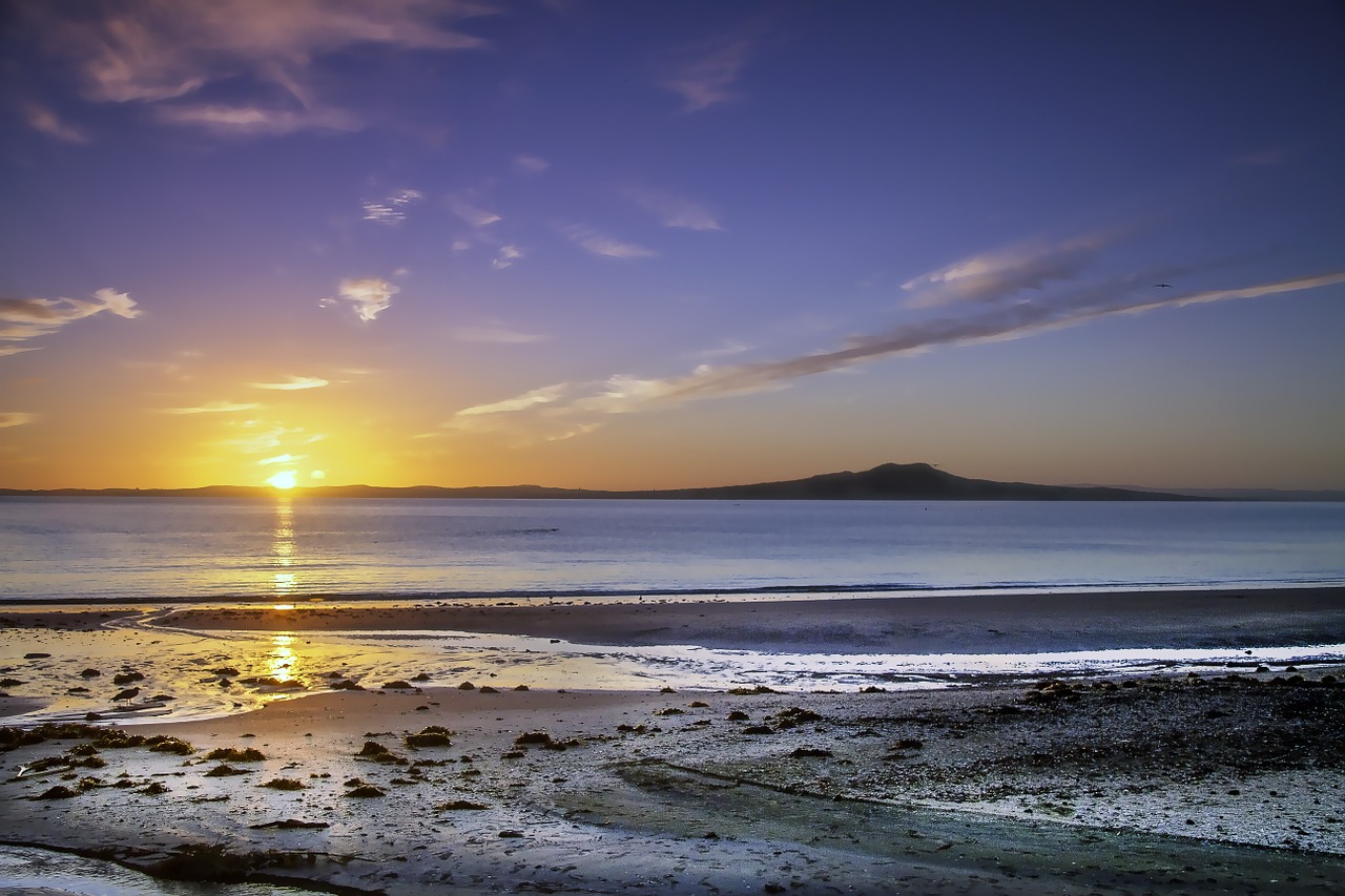 sun rise beach new zealand free photo