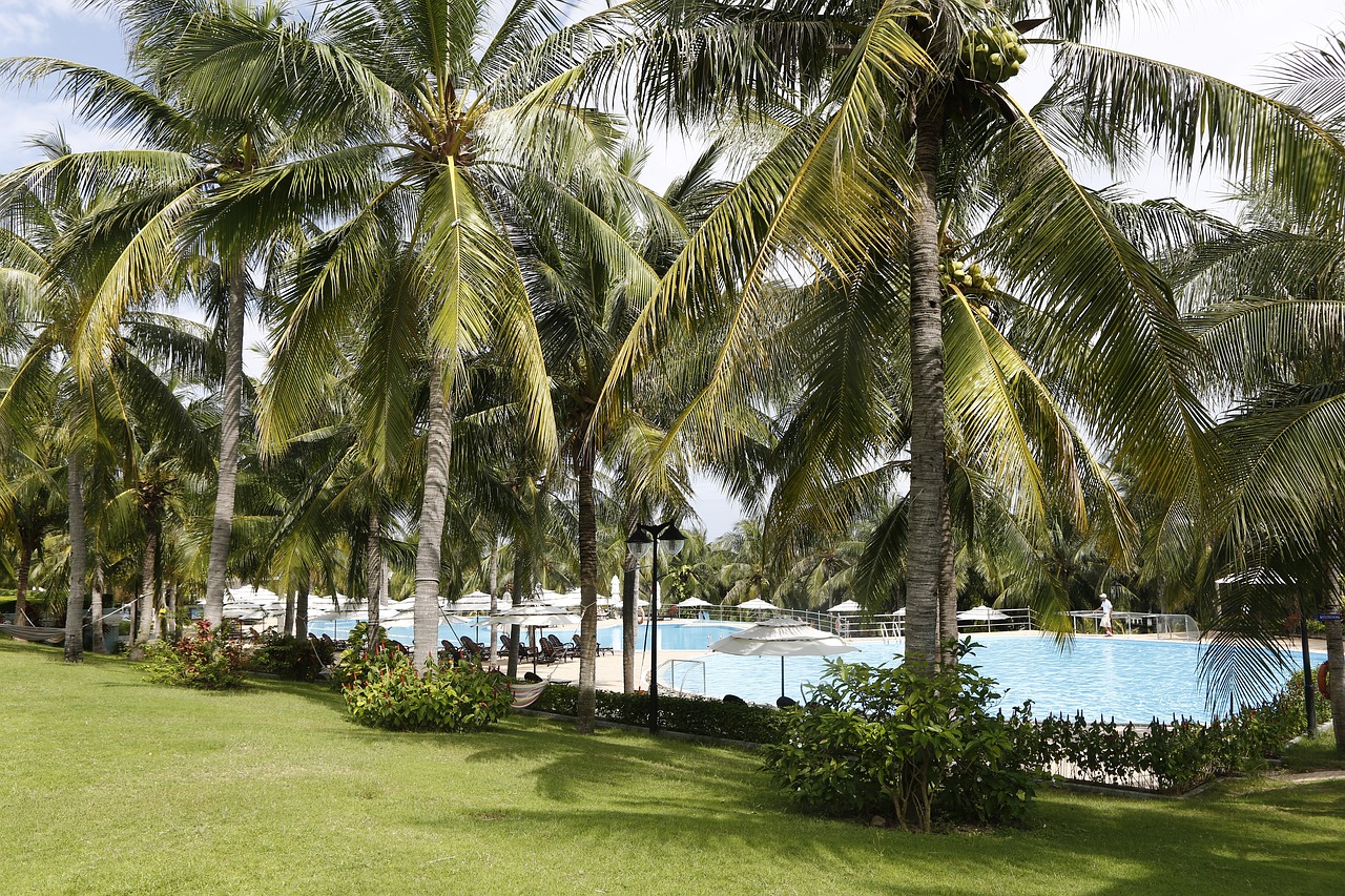 sun spa resort swimming pool vietnam free photo