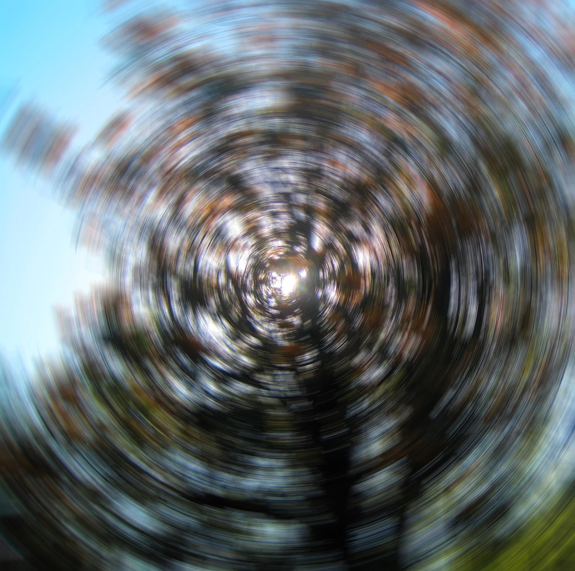 trees blur spin free photo