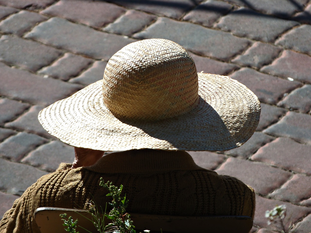 sunbathing women elderly woman free photo