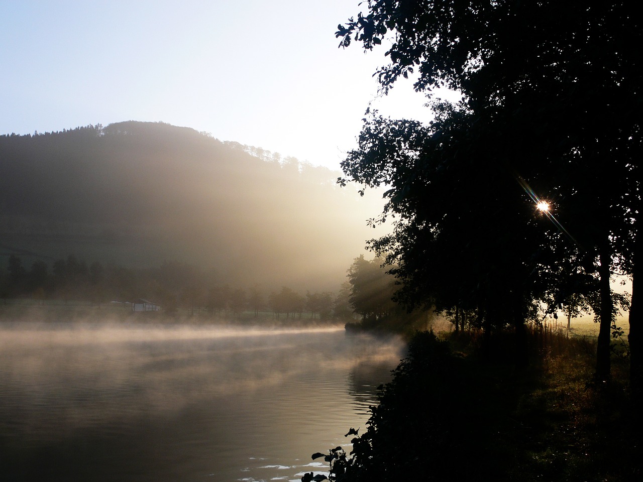 sunbeam morgenstimmung fog free photo