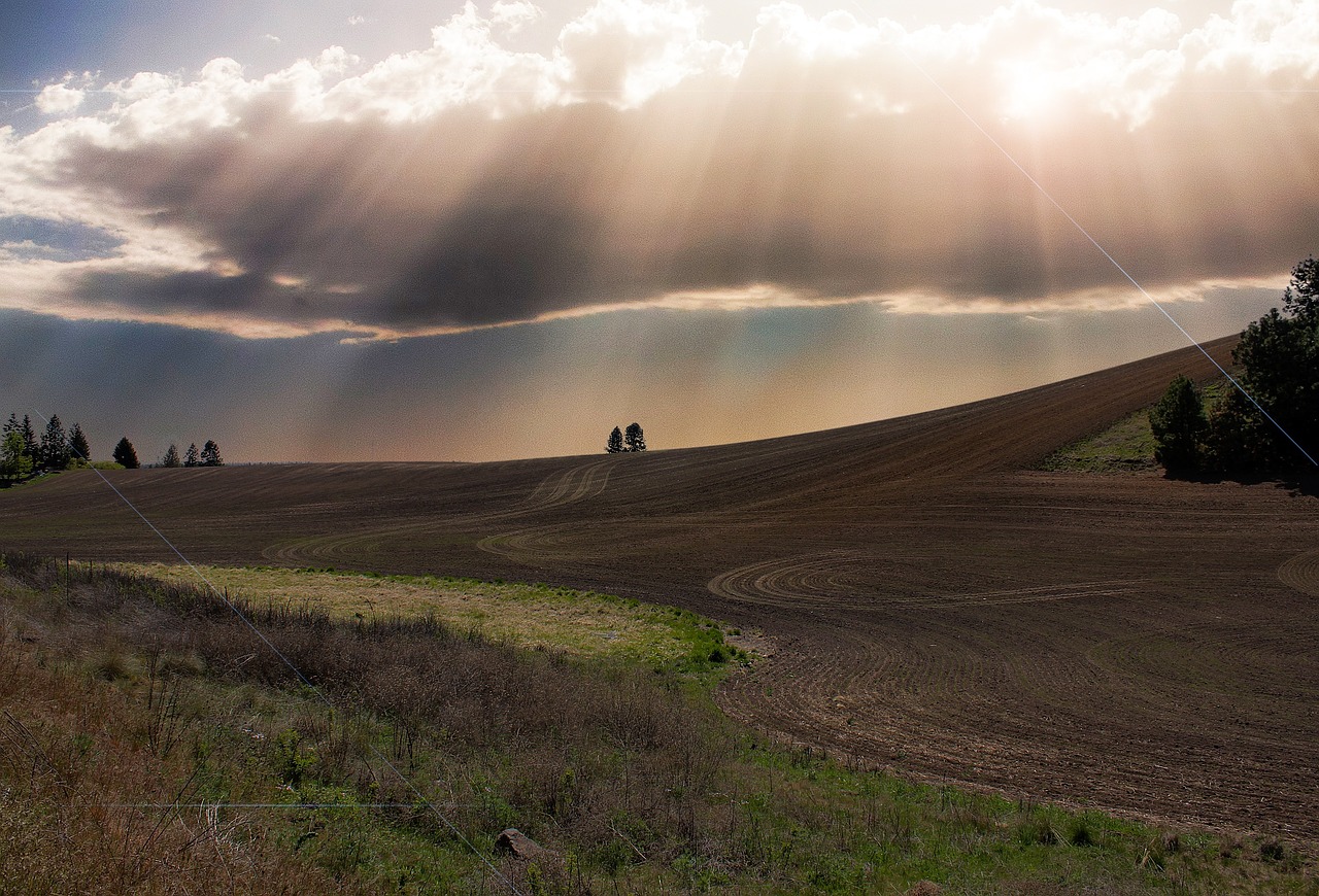 sunbeams clouds field free photo