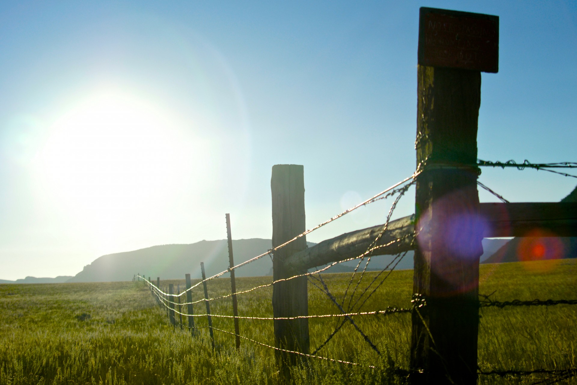 barbed wire farm fence free photo