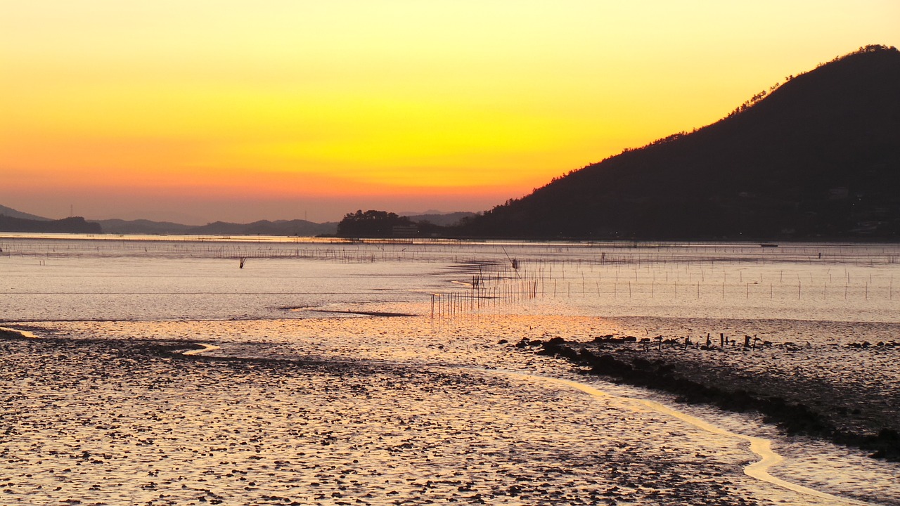 suncheon bay sunset tidal free photo