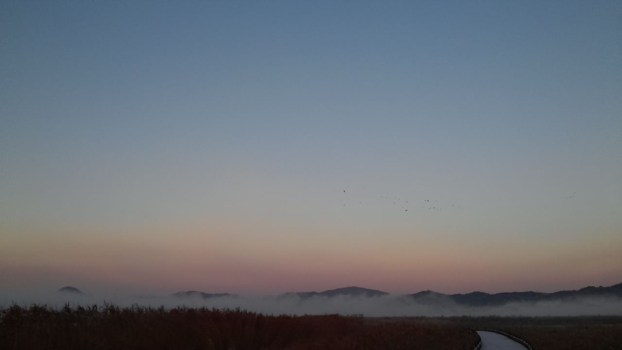 suncheon bay dawn fog free photo