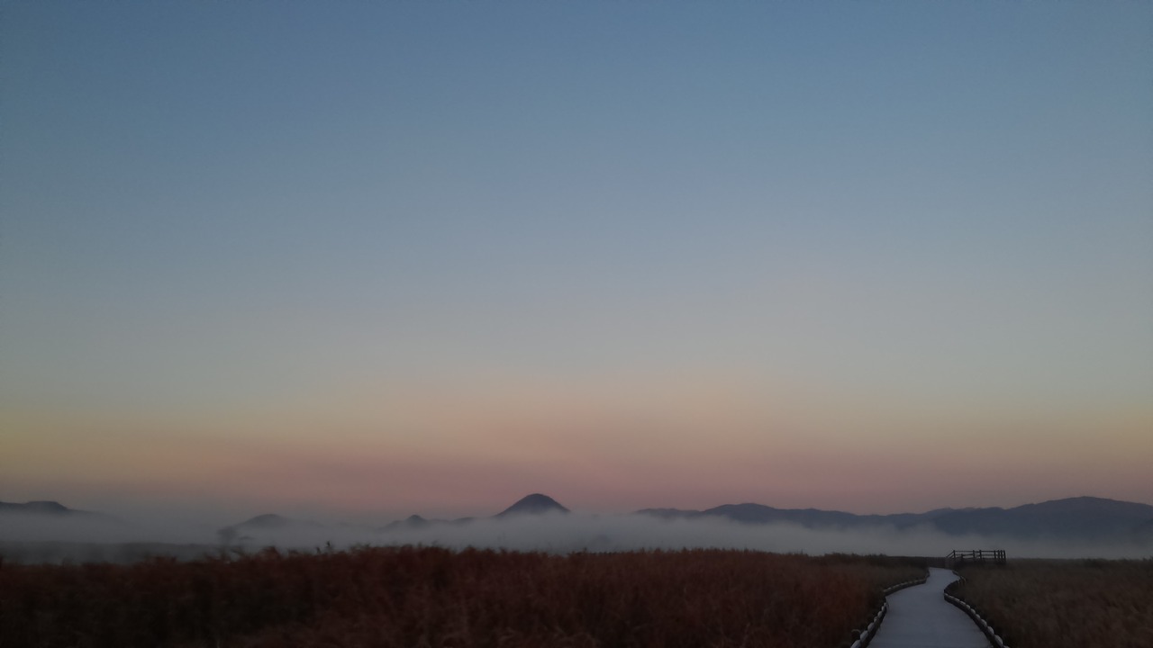 suncheon bay dawn fog free photo