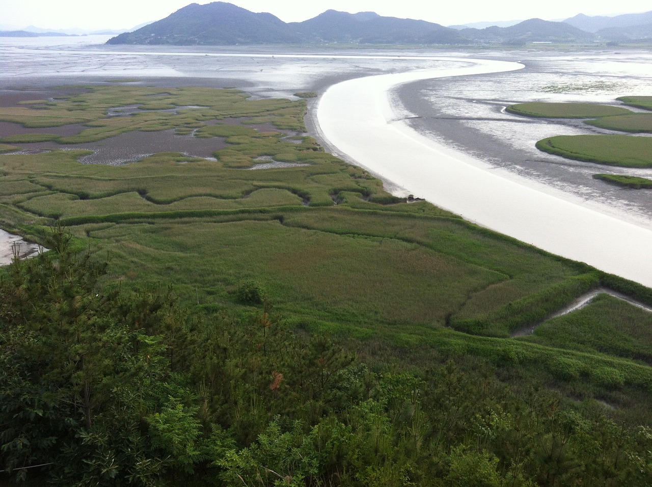 suncheon bay seaway tidal free photo