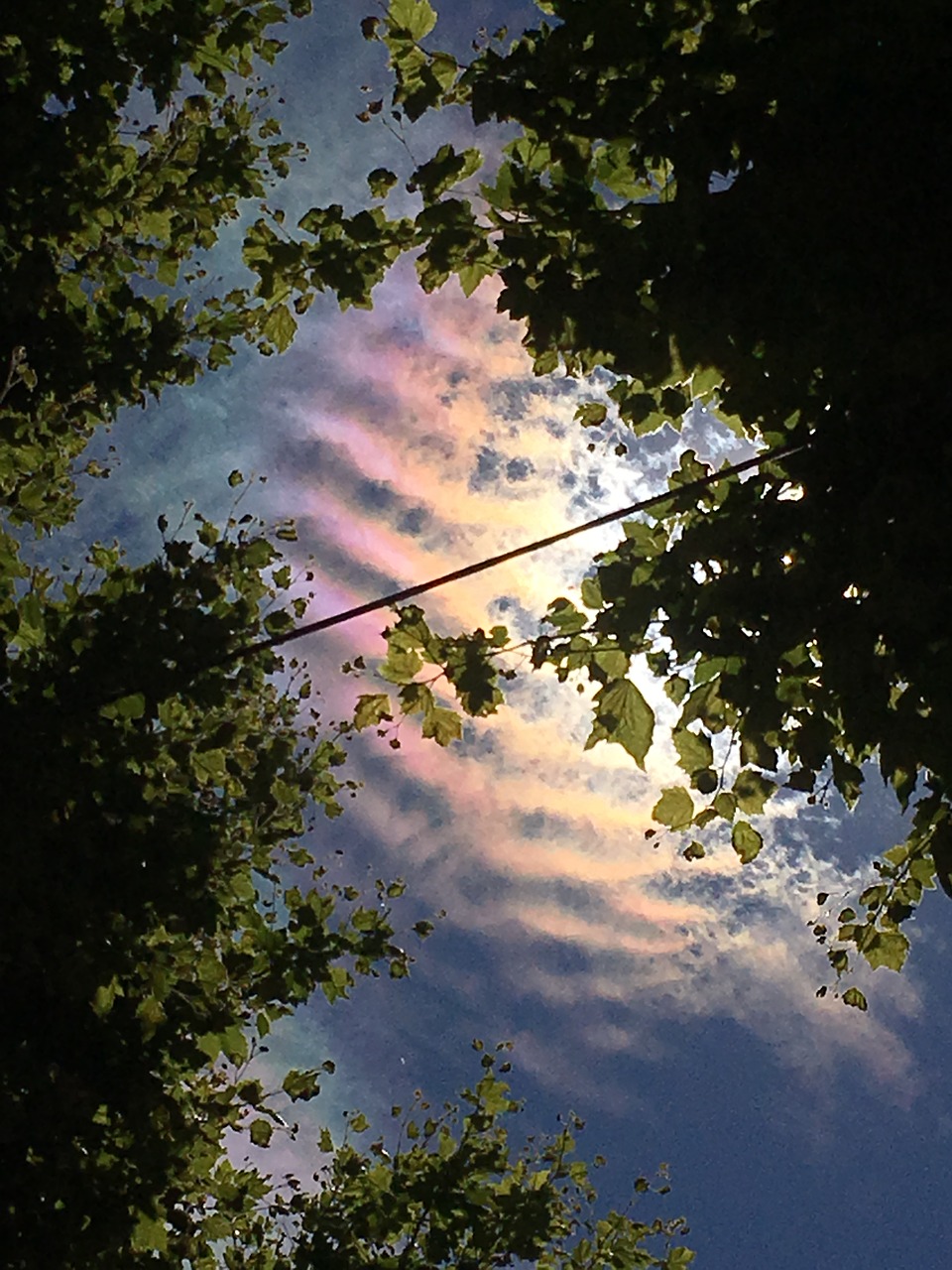sundog  sky  atmospheric free photo