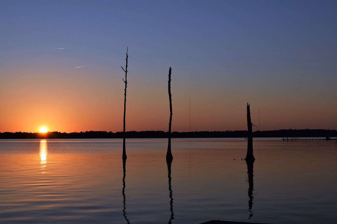 sundown river trees free photo