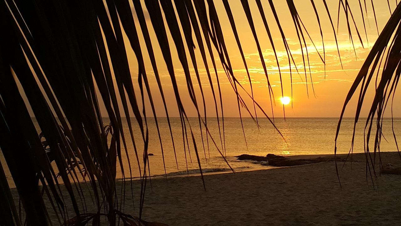 sundown beach landscape free photo