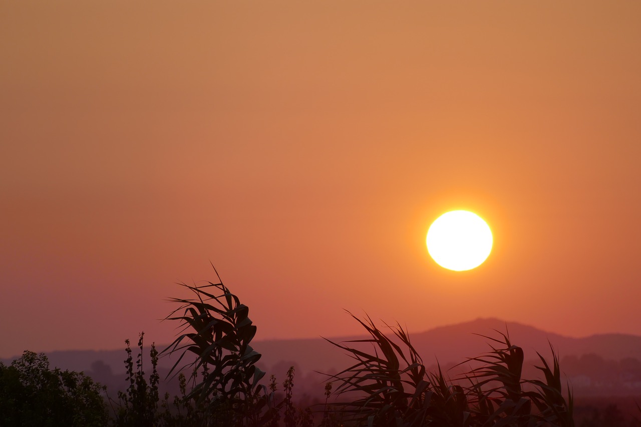 sundown tërbuf albania free photo