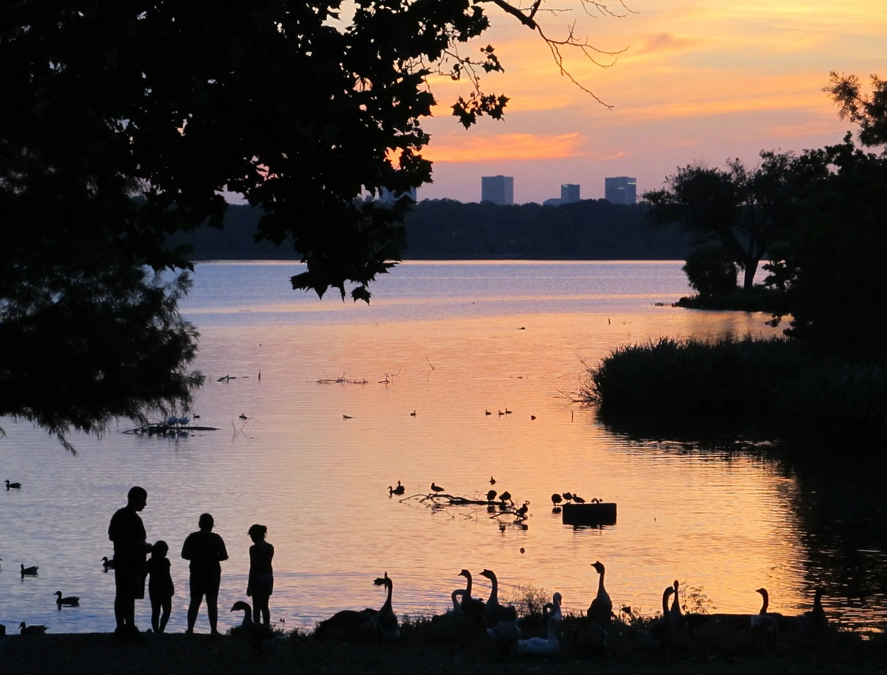 sundown lake family free photo