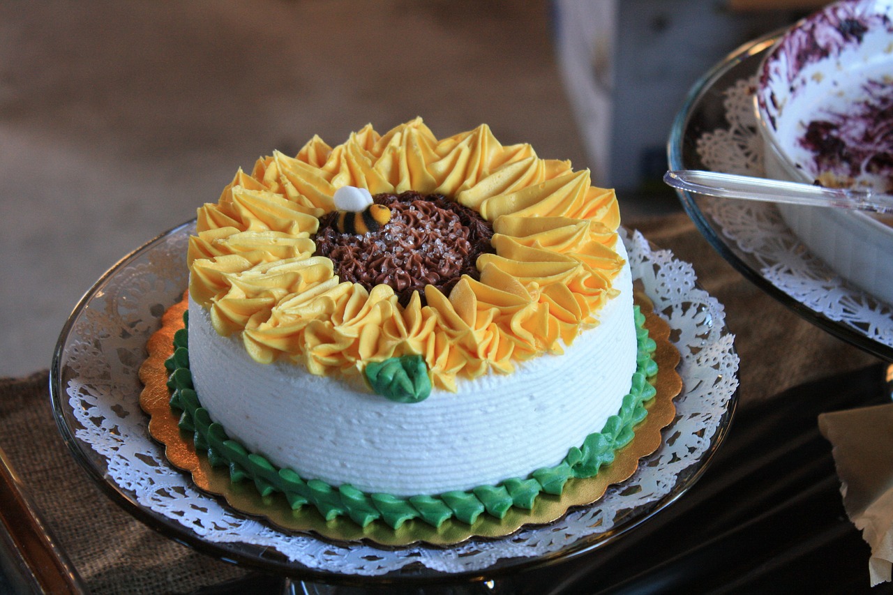 sunflower cake dessert free photo