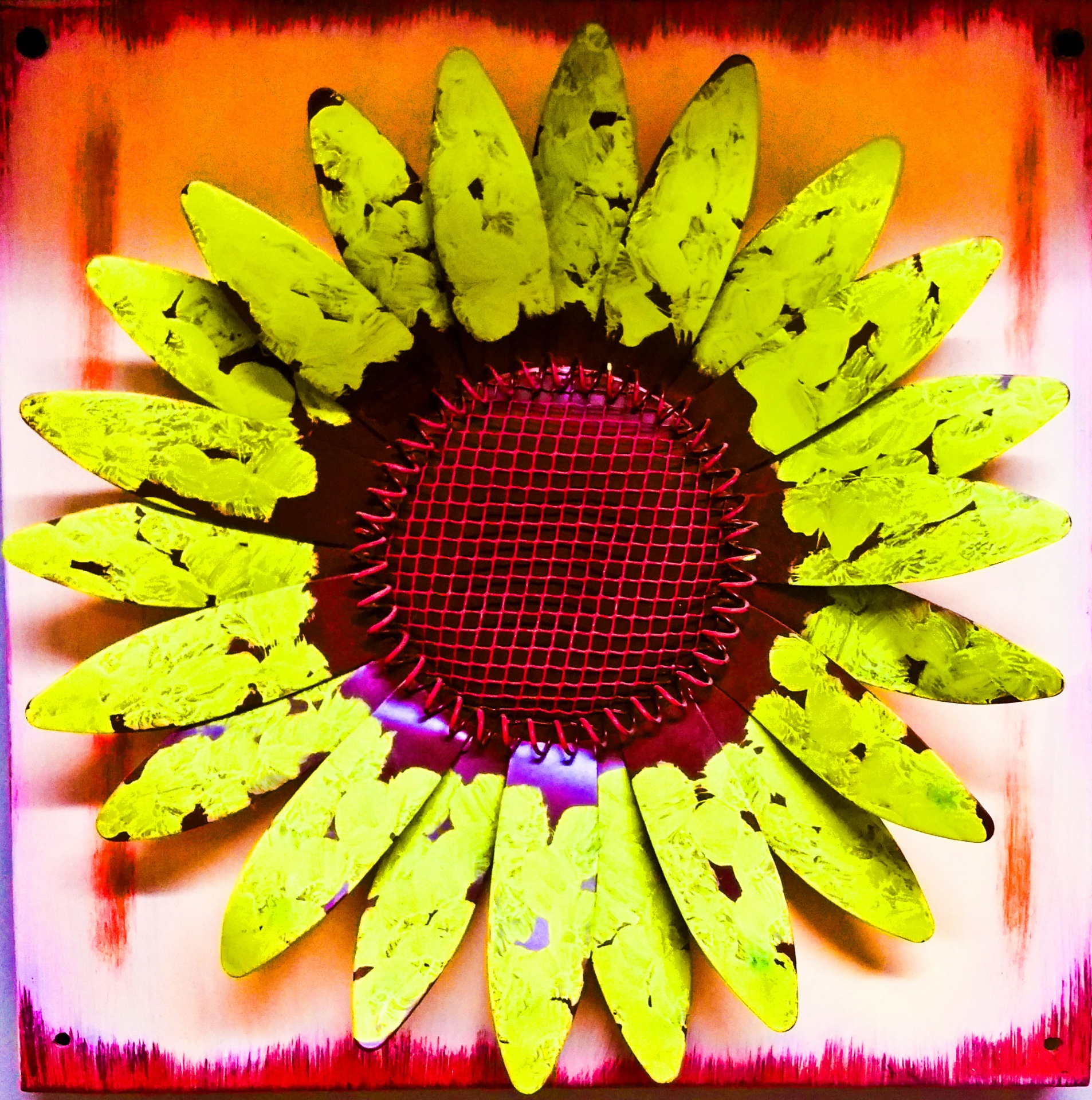 flower sunflower metal free photo