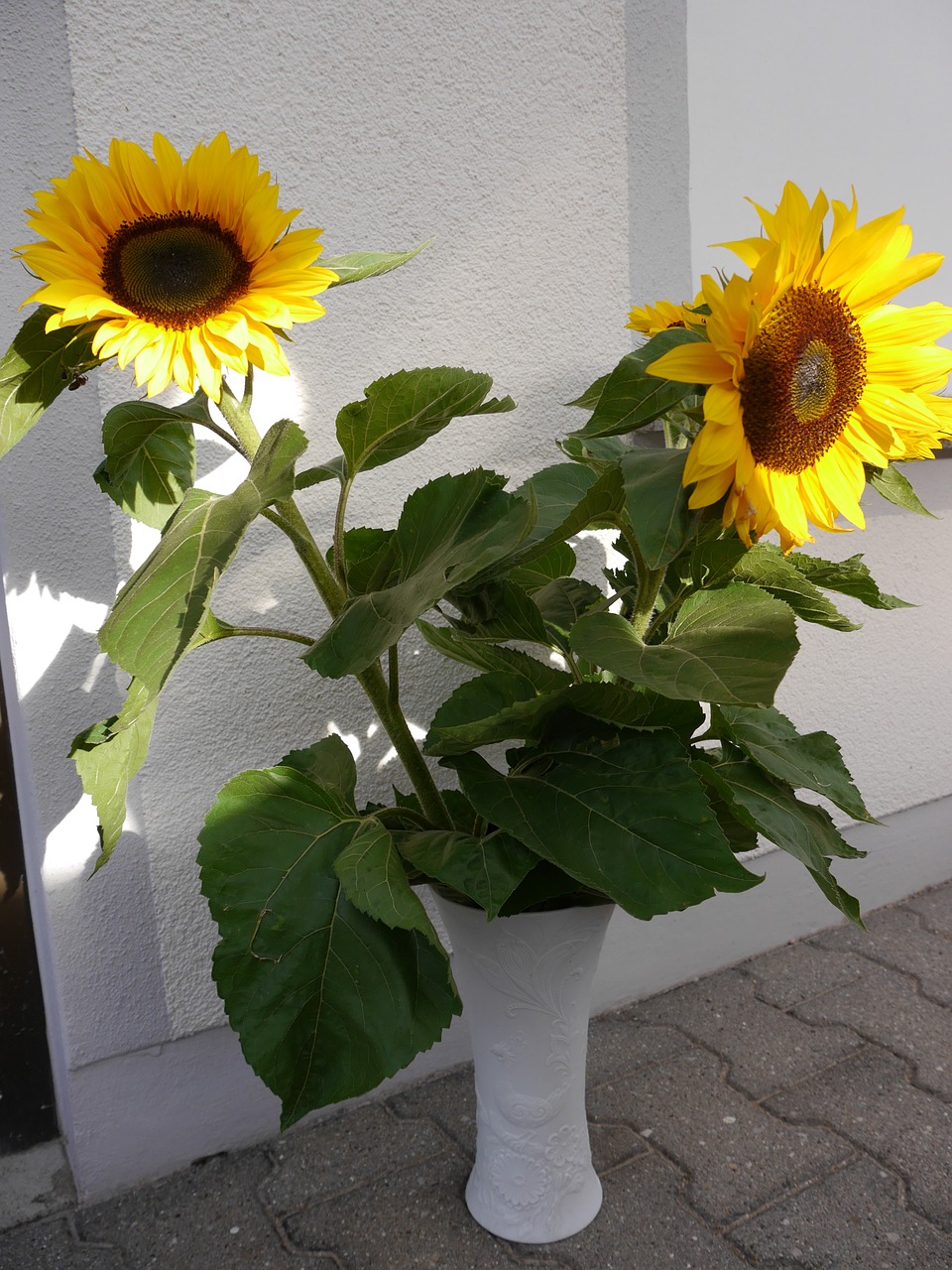 sunflower sun bouquet of flowers free photo