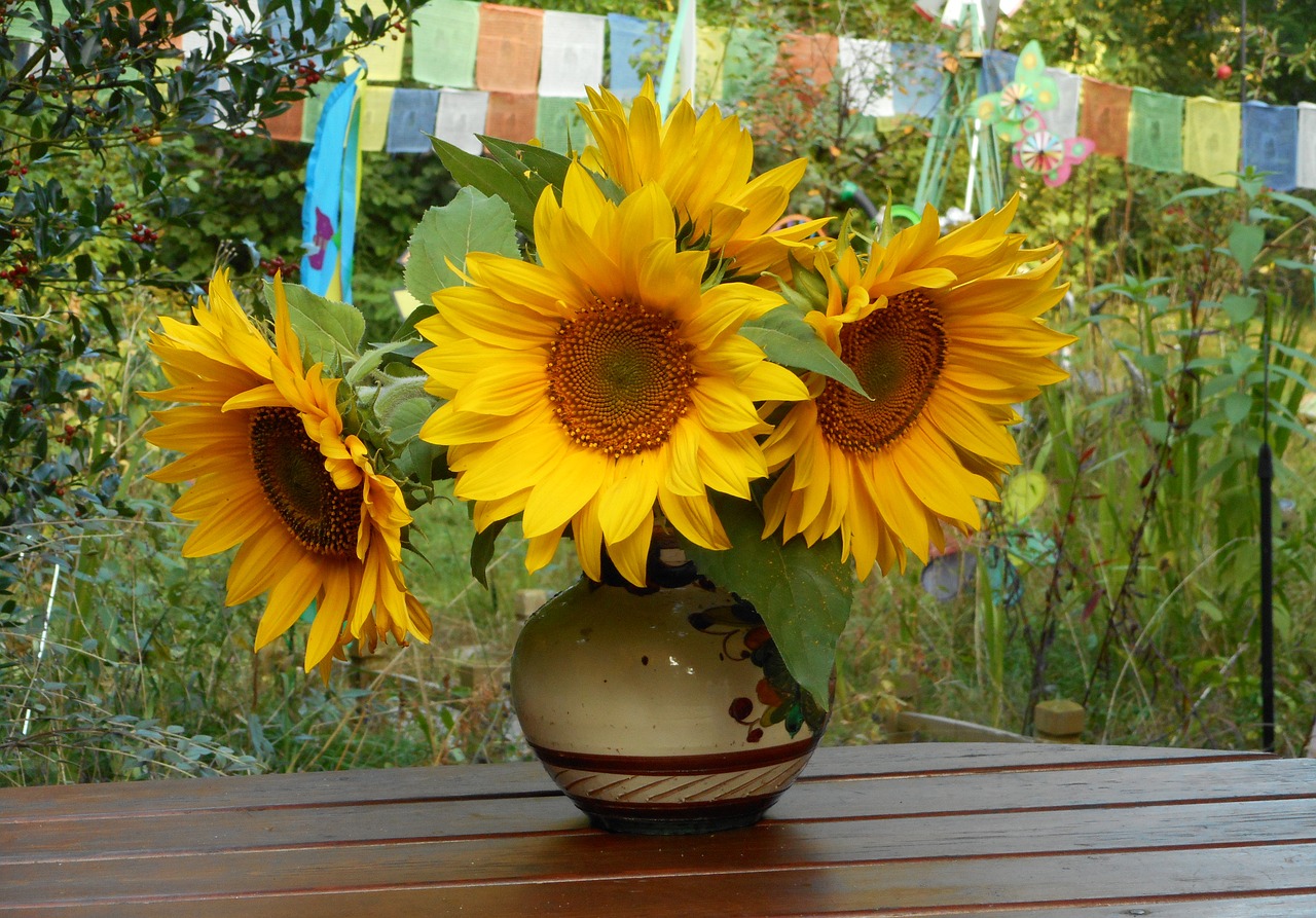 sunflower bouquet sunflower field free photo