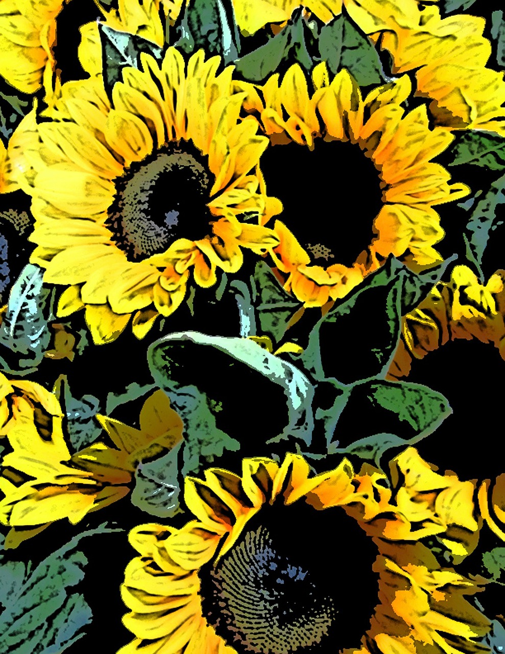 sunflower sunflowers bunch free photo