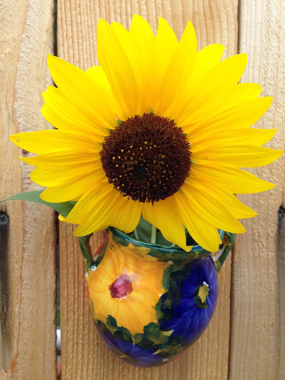 sunflower flower summer free photo