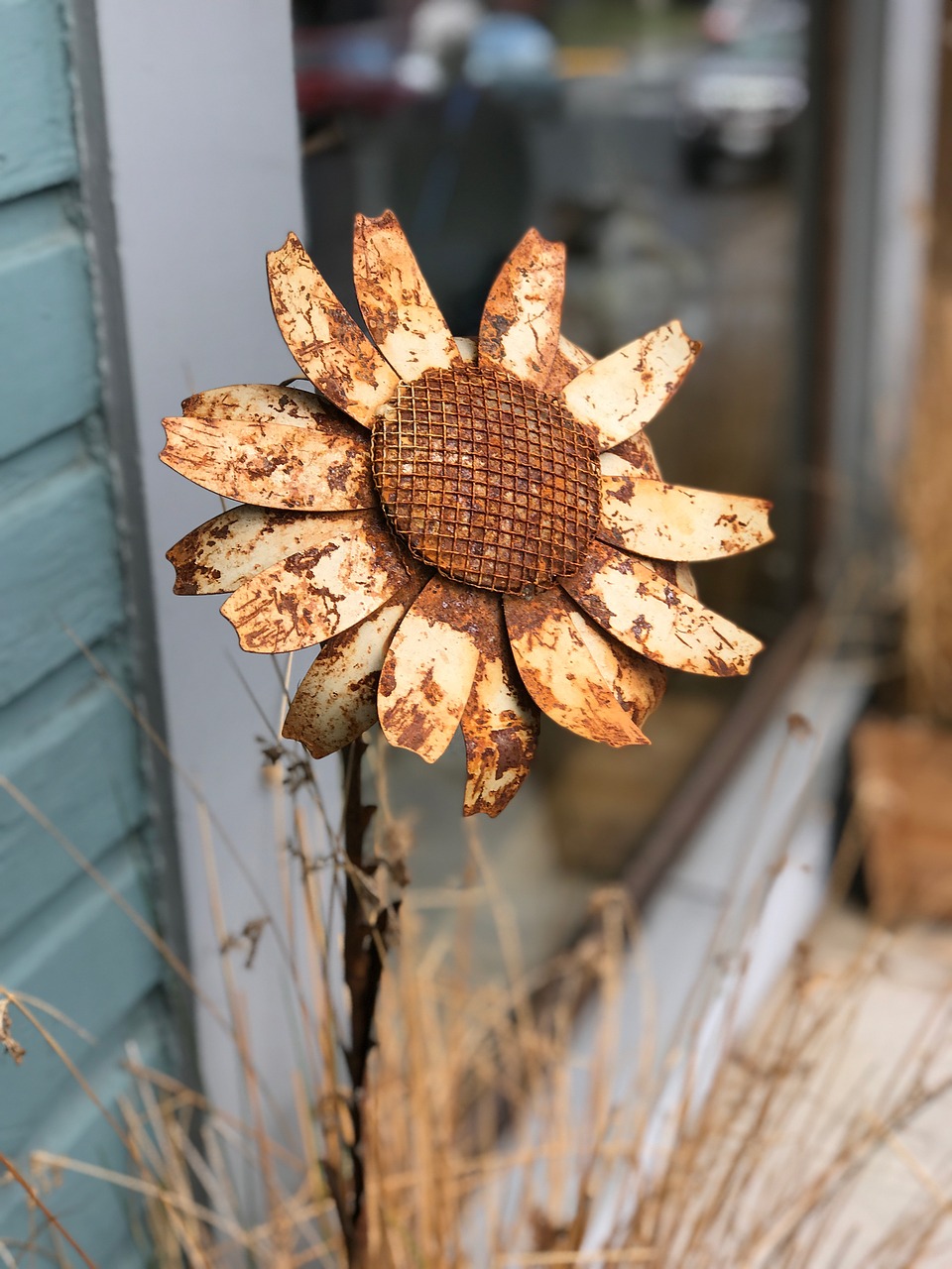 sunflower metal rustic free photo