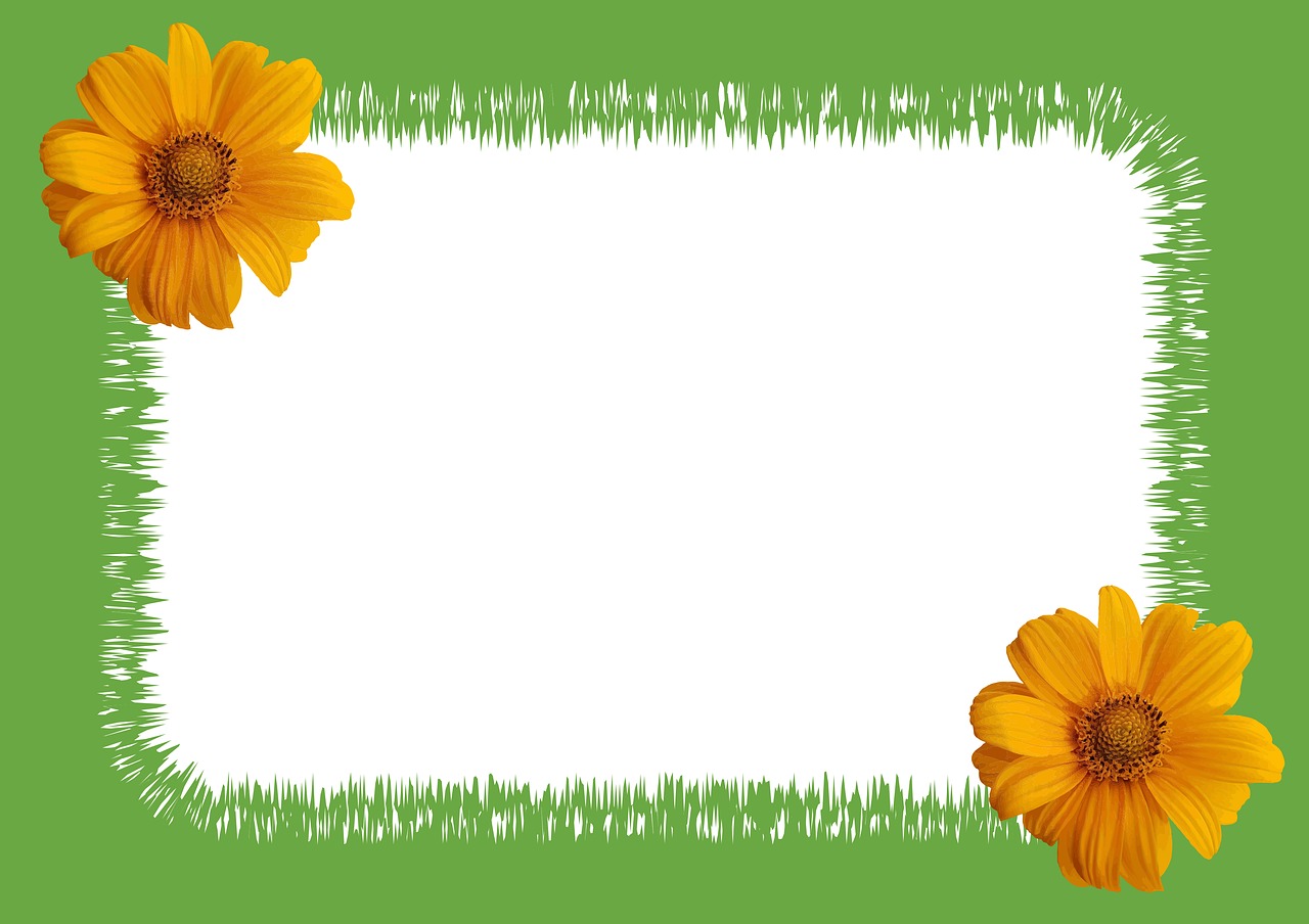 sunflower photo zigzag frame free photo