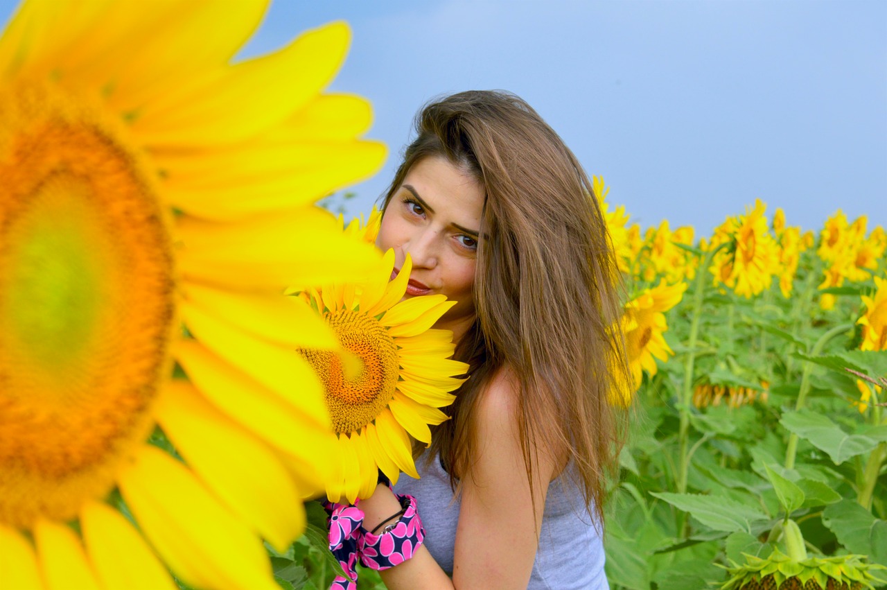 sunflower  woman  field free photo