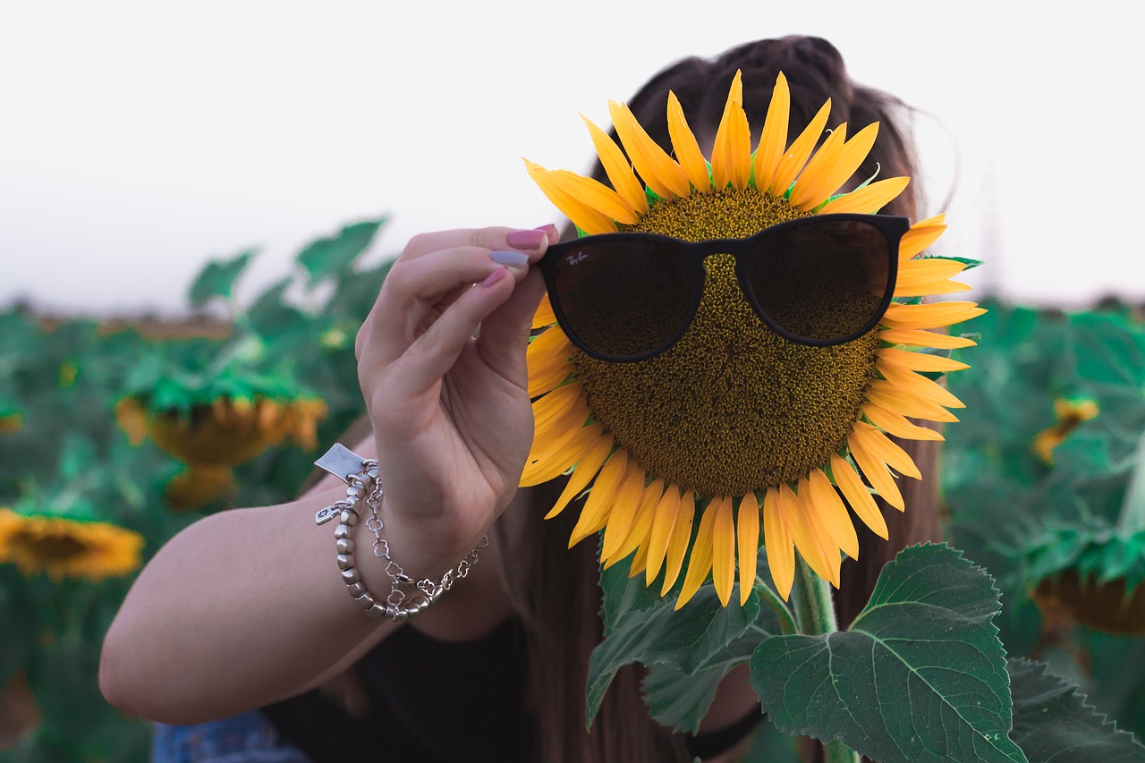 sunflower  sunglasses  sun free photo