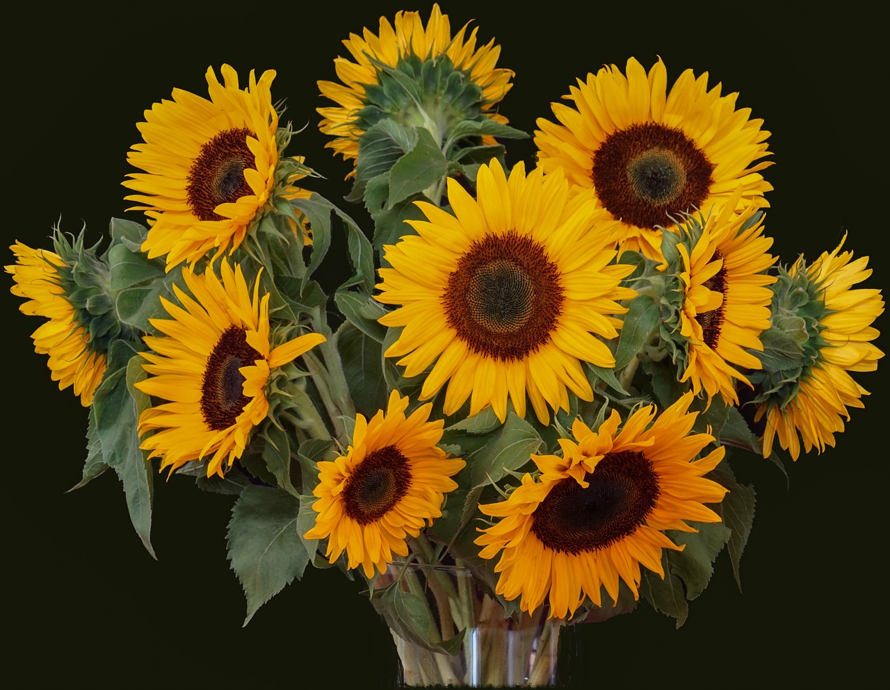 sunflower  bouquet  flora free photo