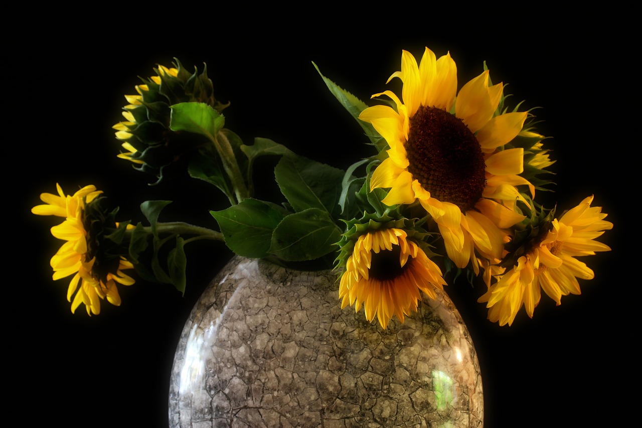 sunflower  vase  bouquet free photo