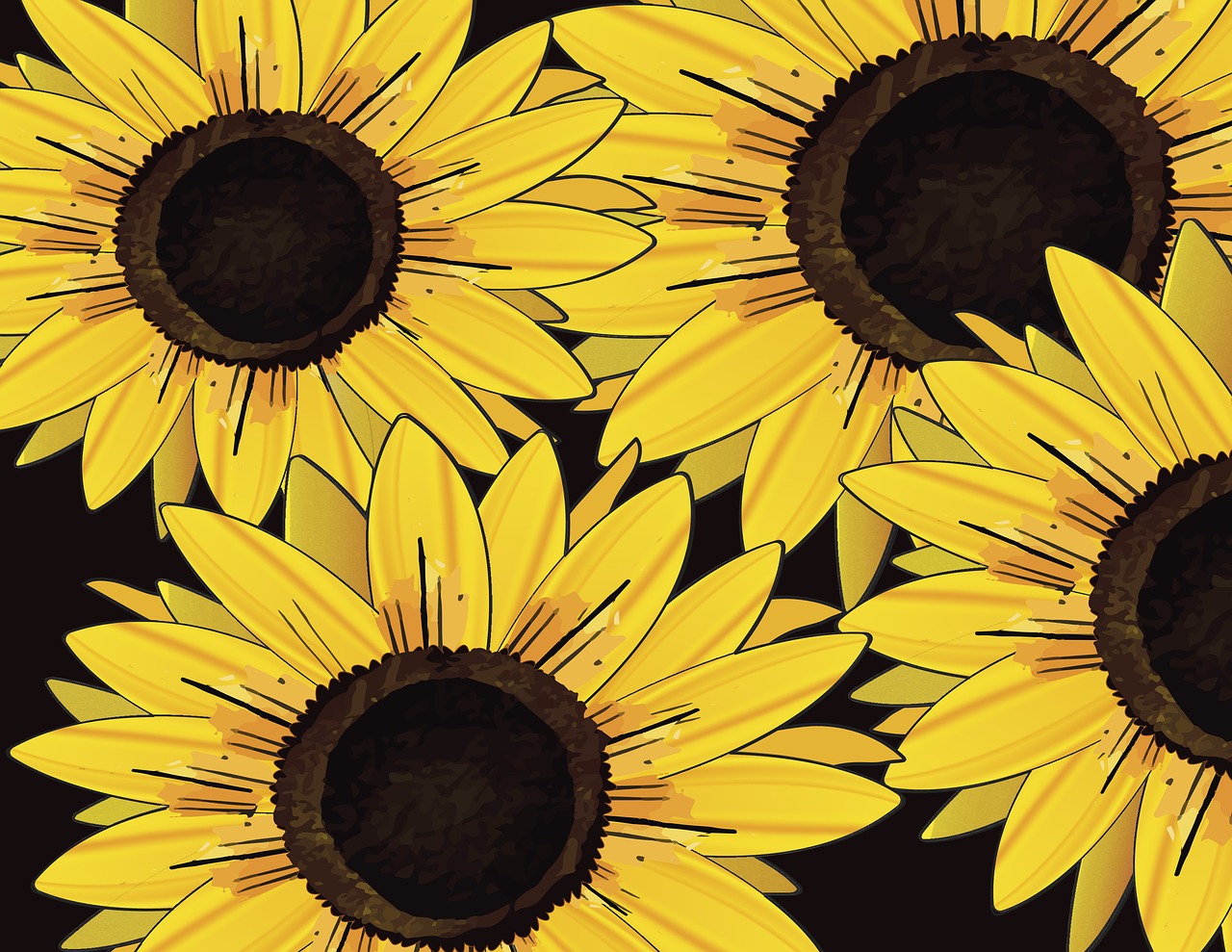 sunflower  illustration  yellow free photo