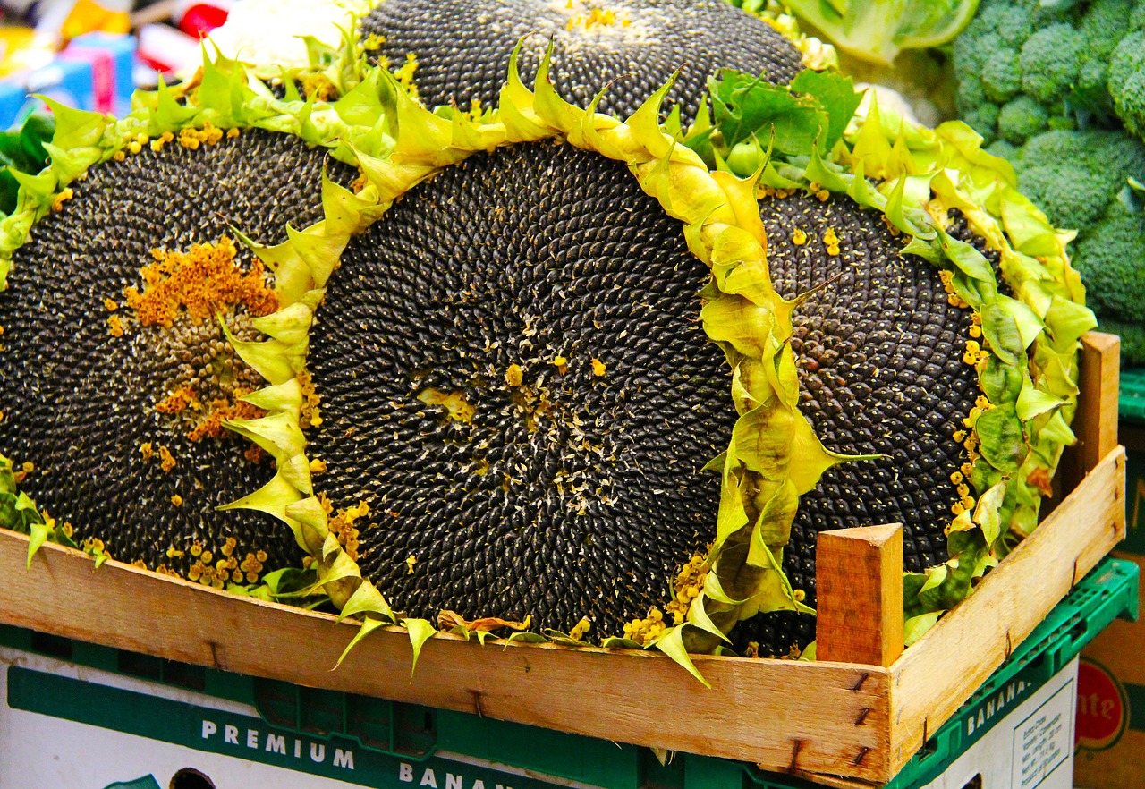 sunflower seeds market free photo