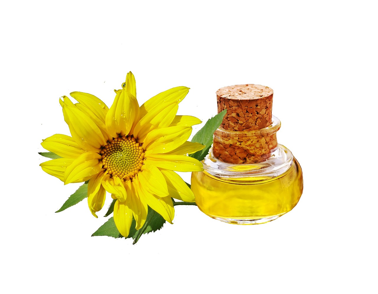 sunflower sunflower oil oil free photo