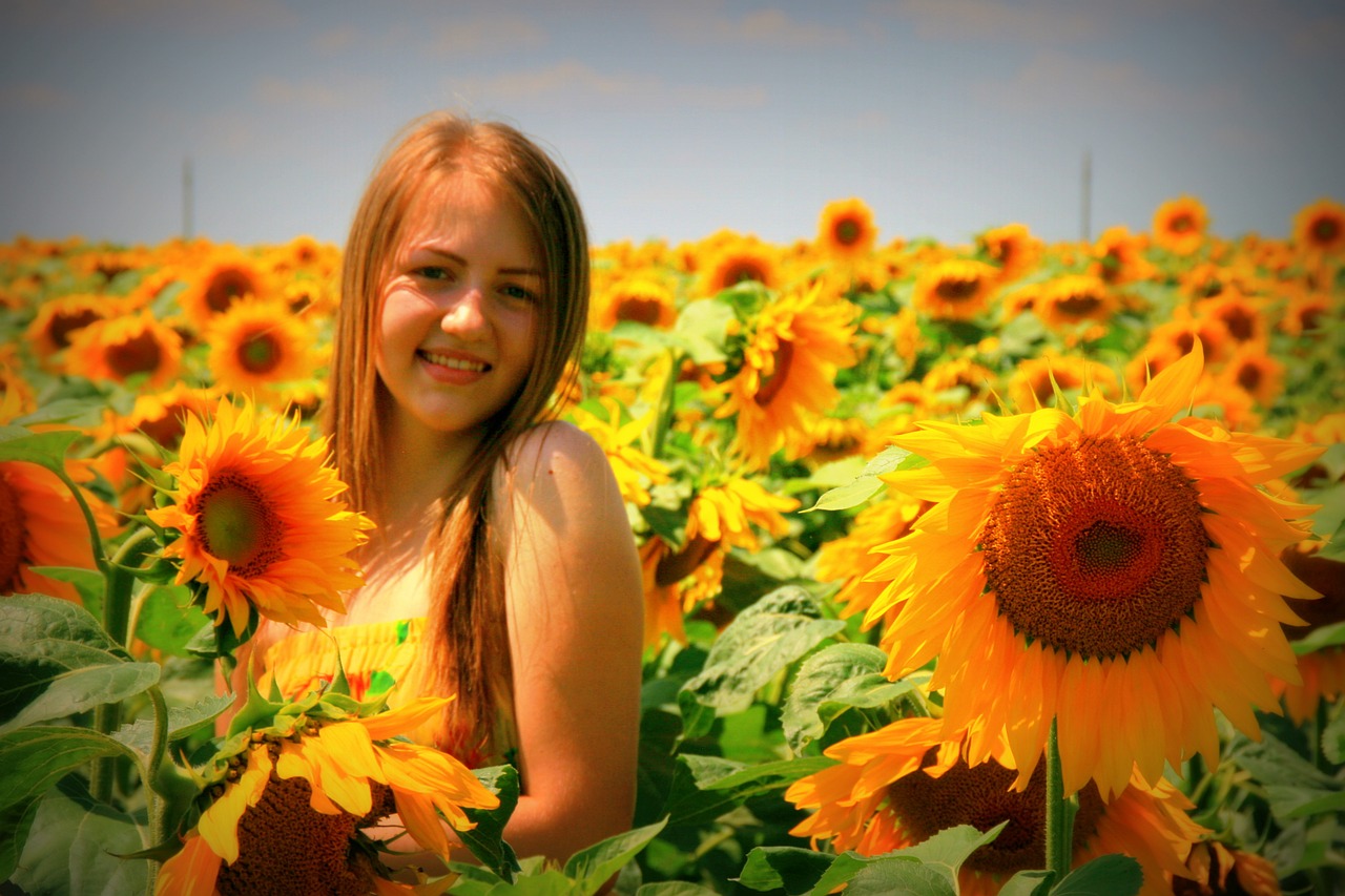 sunflower girl yellow free photo