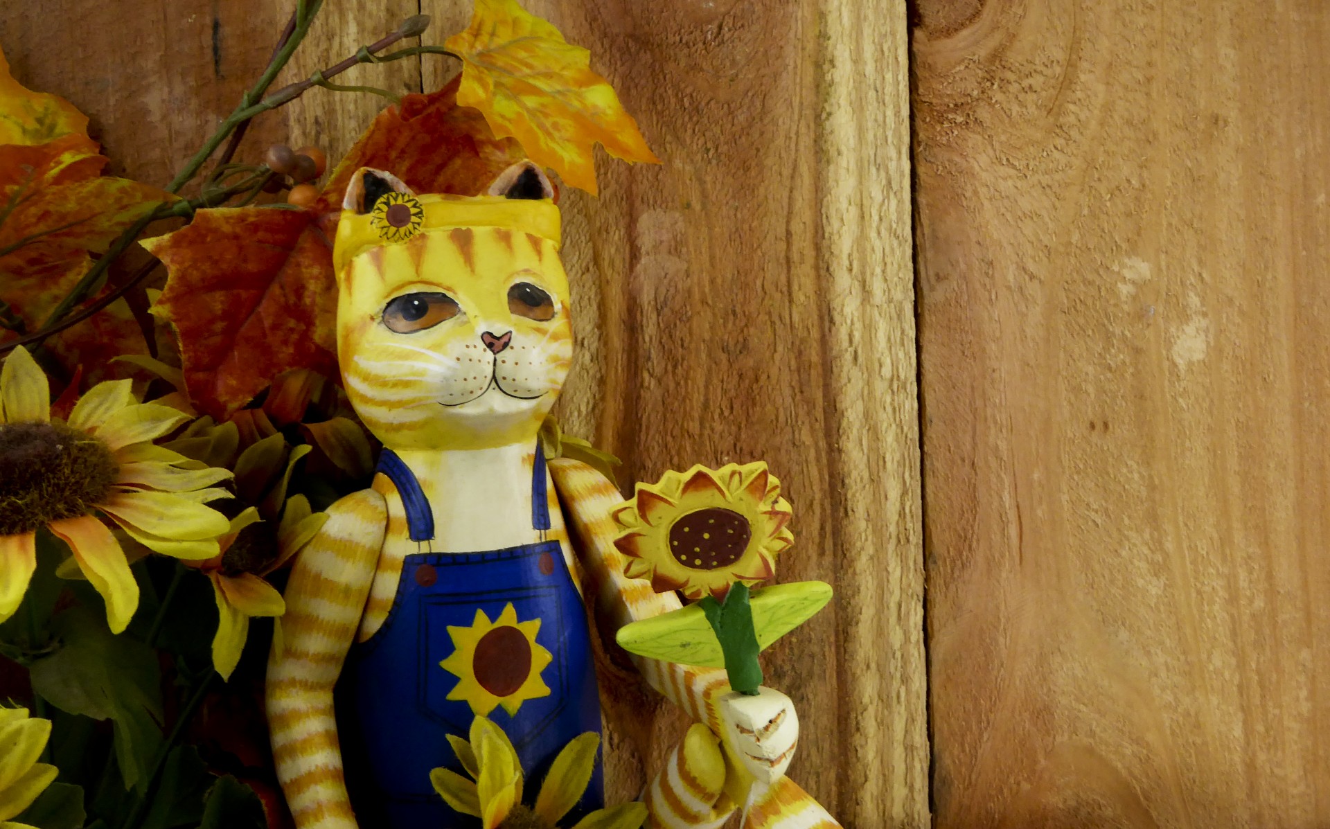 cat sunflower design free photo