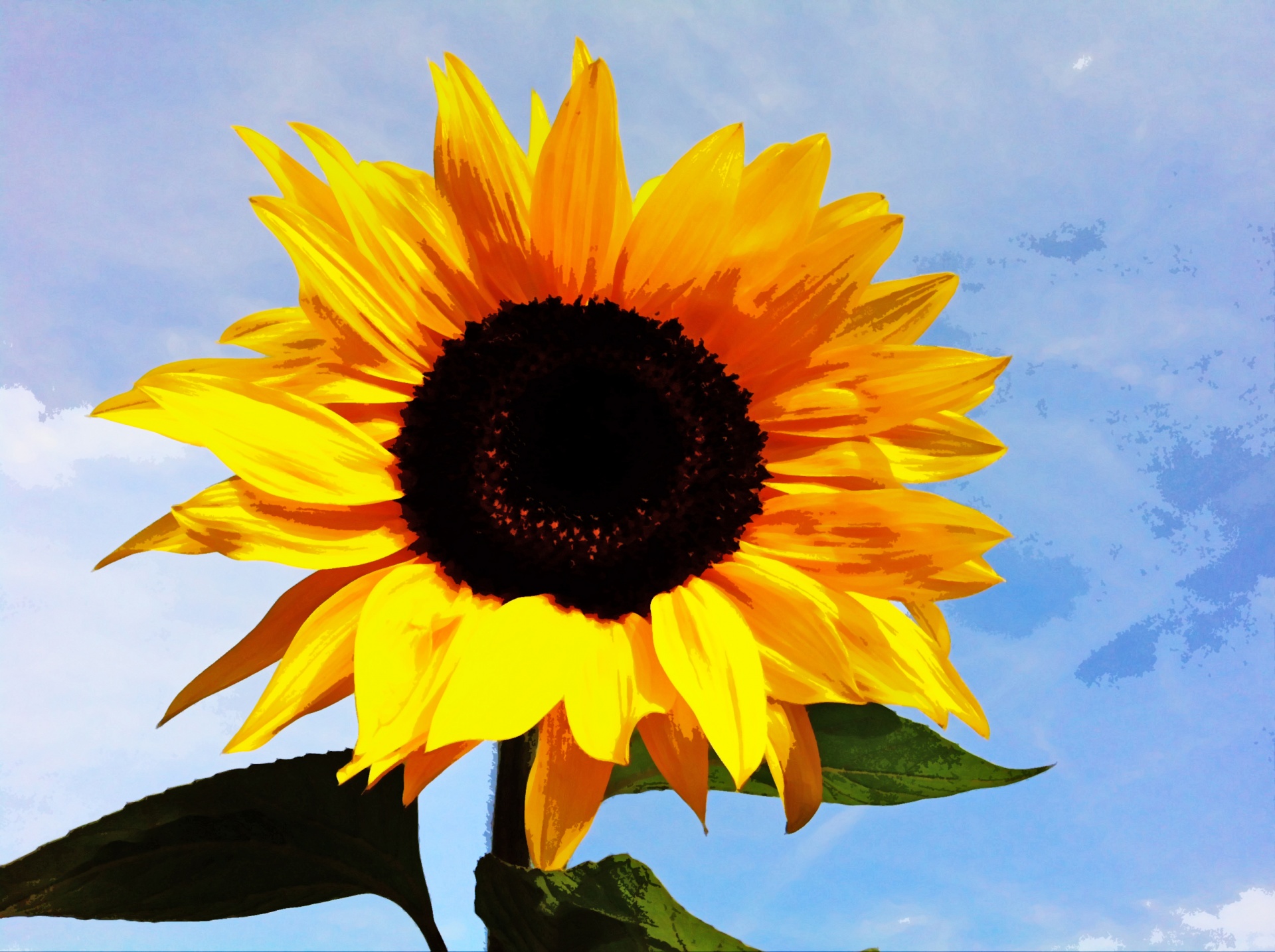 sunflower painting art free photo