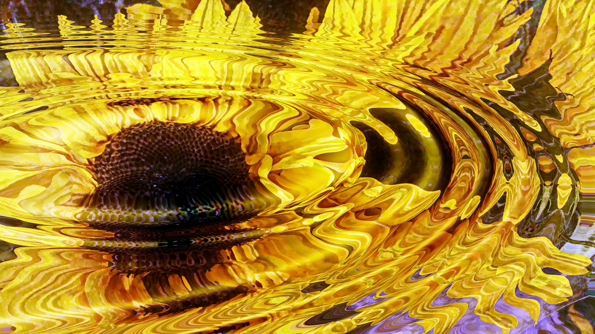 sunflower sunflowers flower free photo