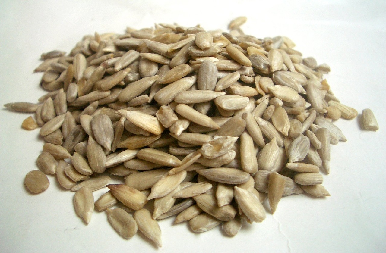 sunflower seeds cores nuts free photo