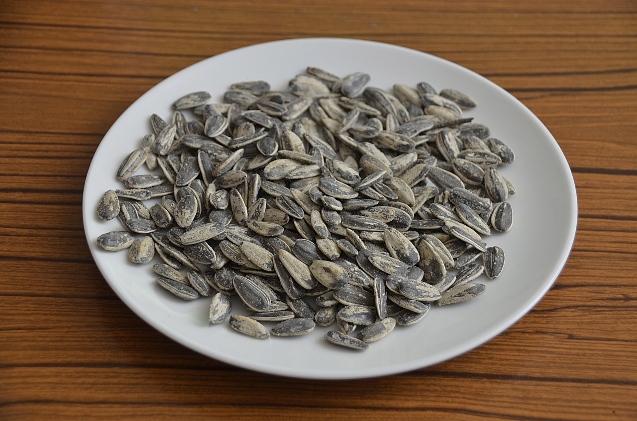 sunflower seeds roasted seeds power free photo