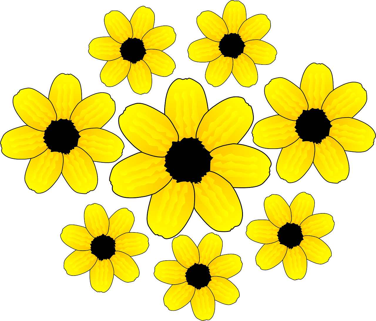 sunflowers flowers blossom free photo