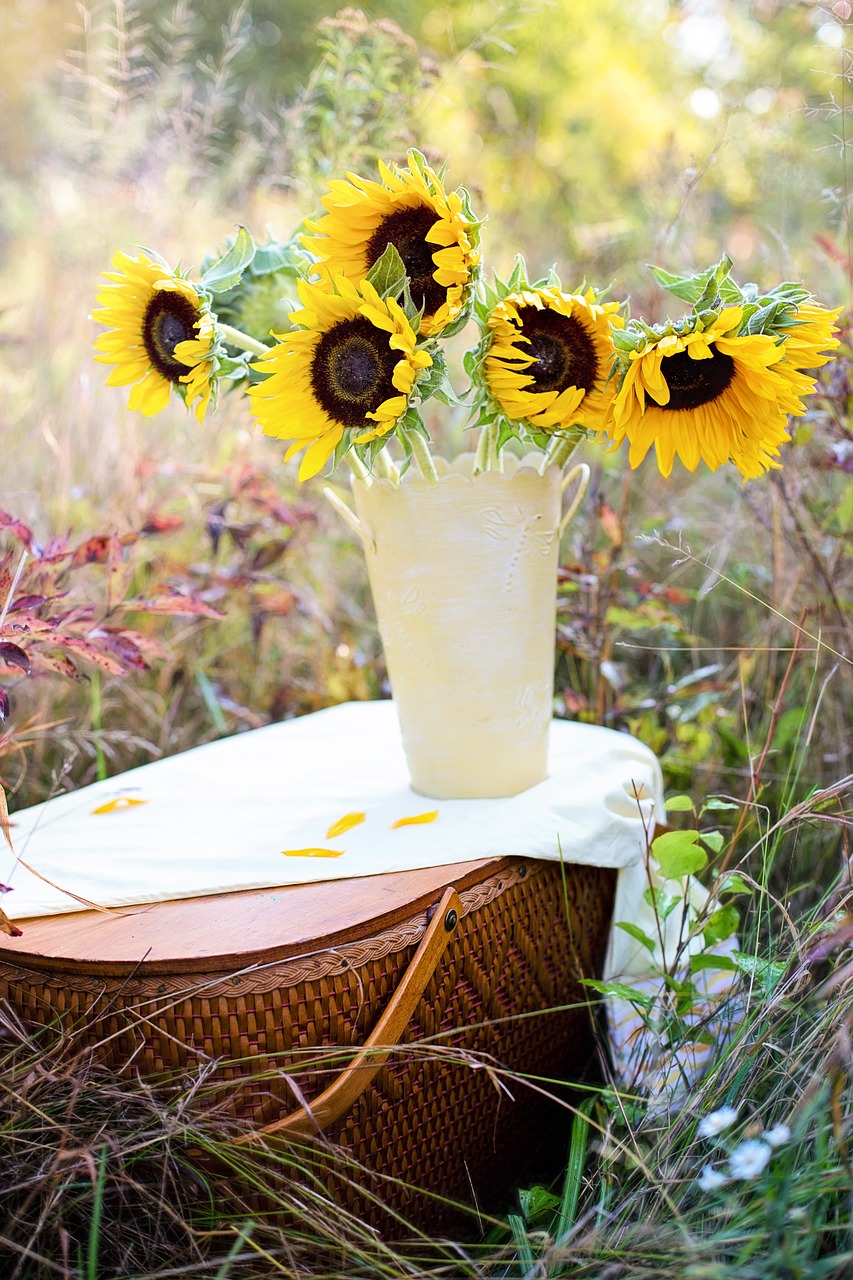 sunflowers vase fall free photo