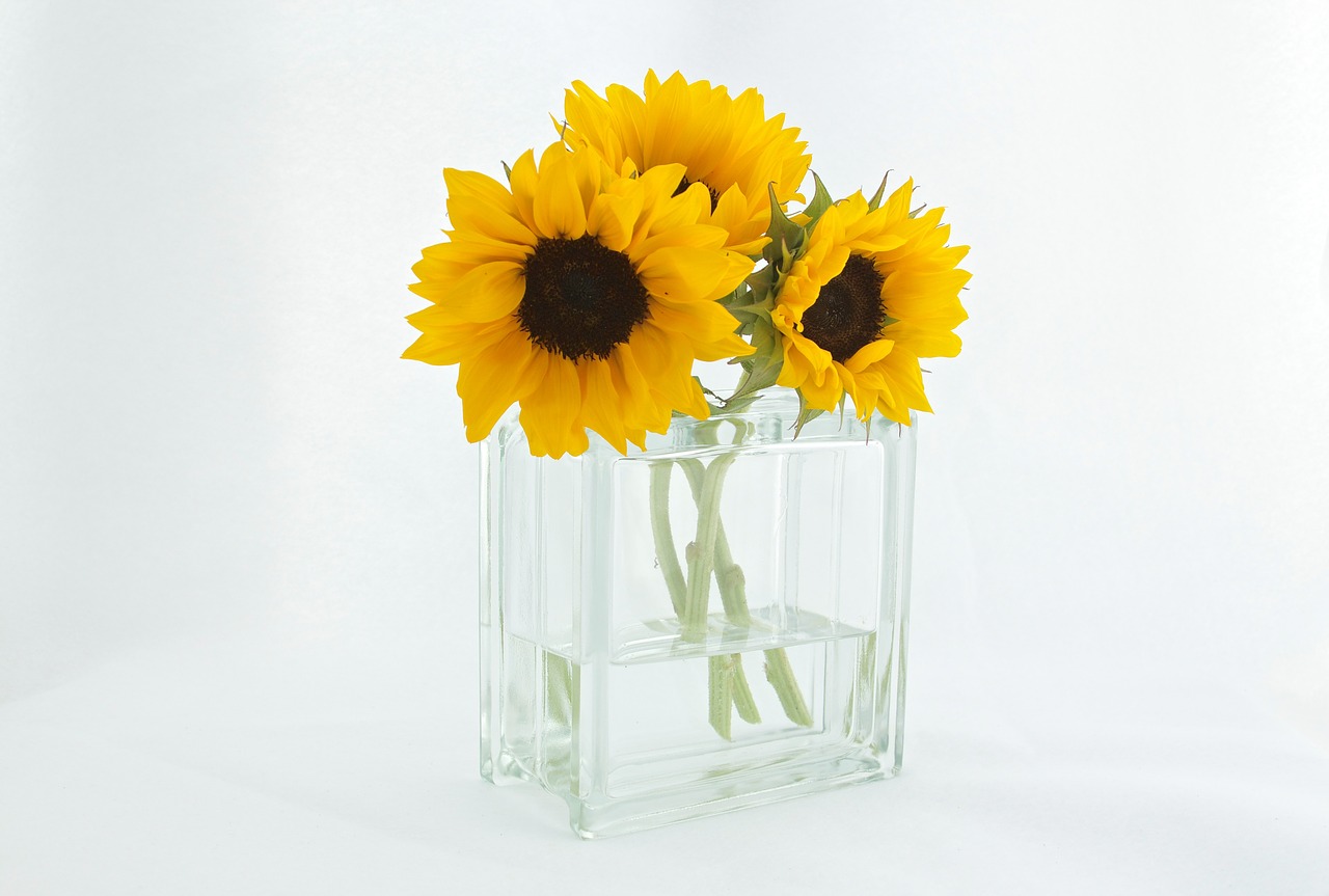 sunflowers vase decor free photo