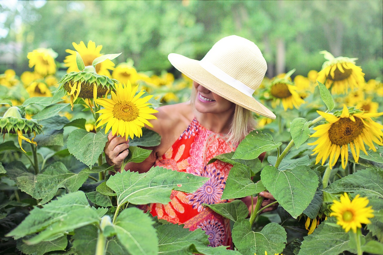 sunflowers  field  woman free photo