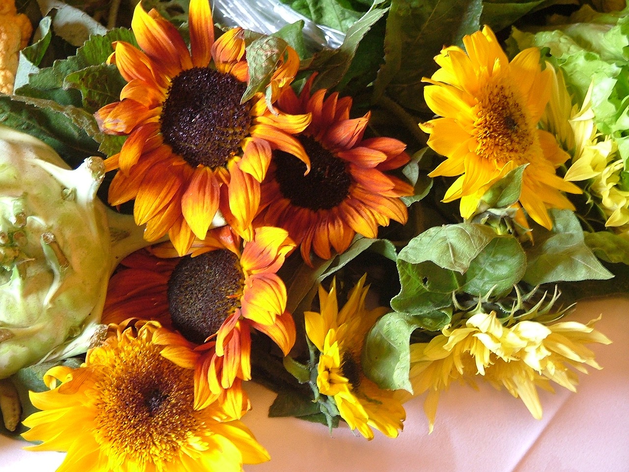 sunflowers show yellow free photo