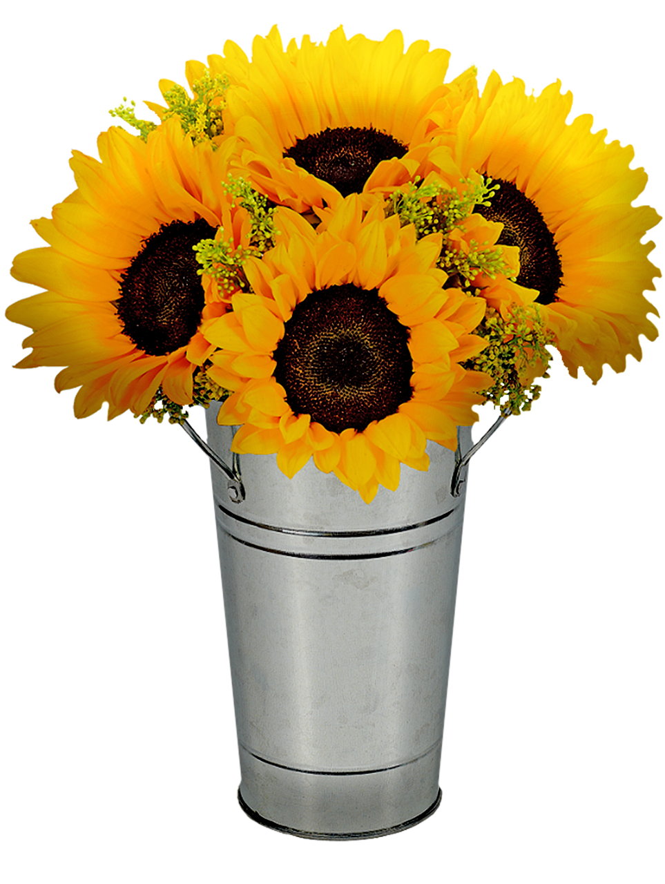 sunflowers in pot  flower pot  sunflower free photo