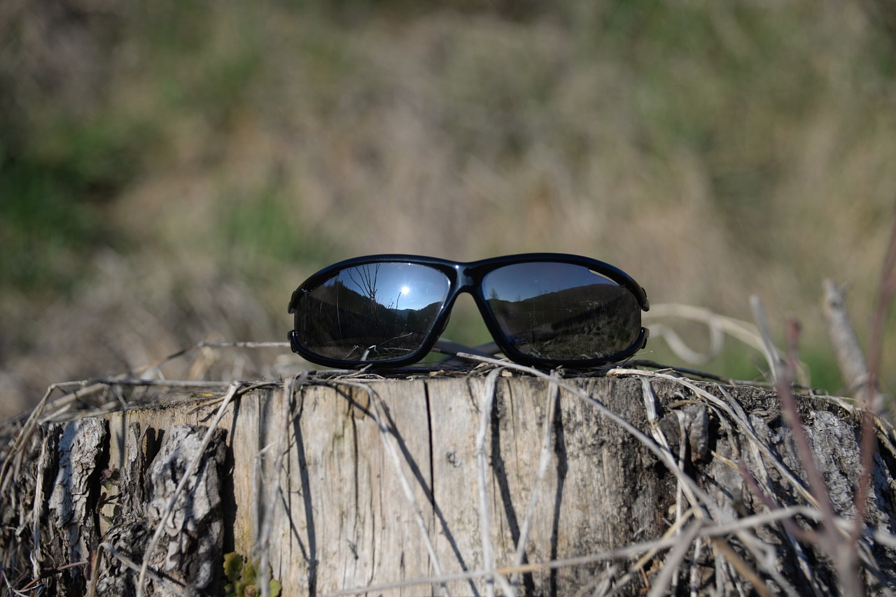 sunglasses tree stump mirroring free photo