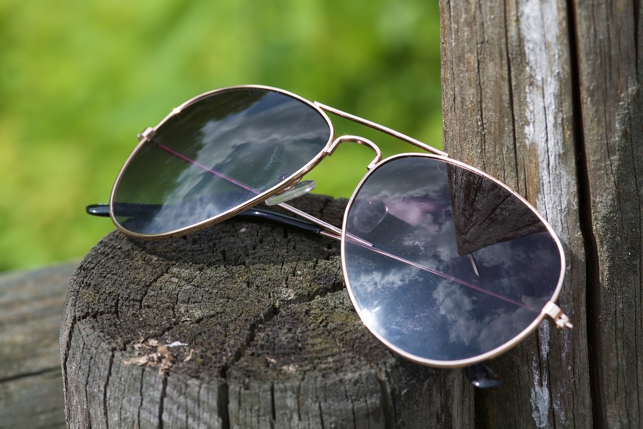 sunglasses wood summer free photo