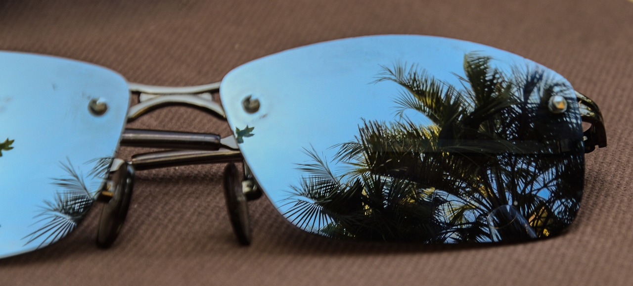 sunglasses italy palm trees free photo