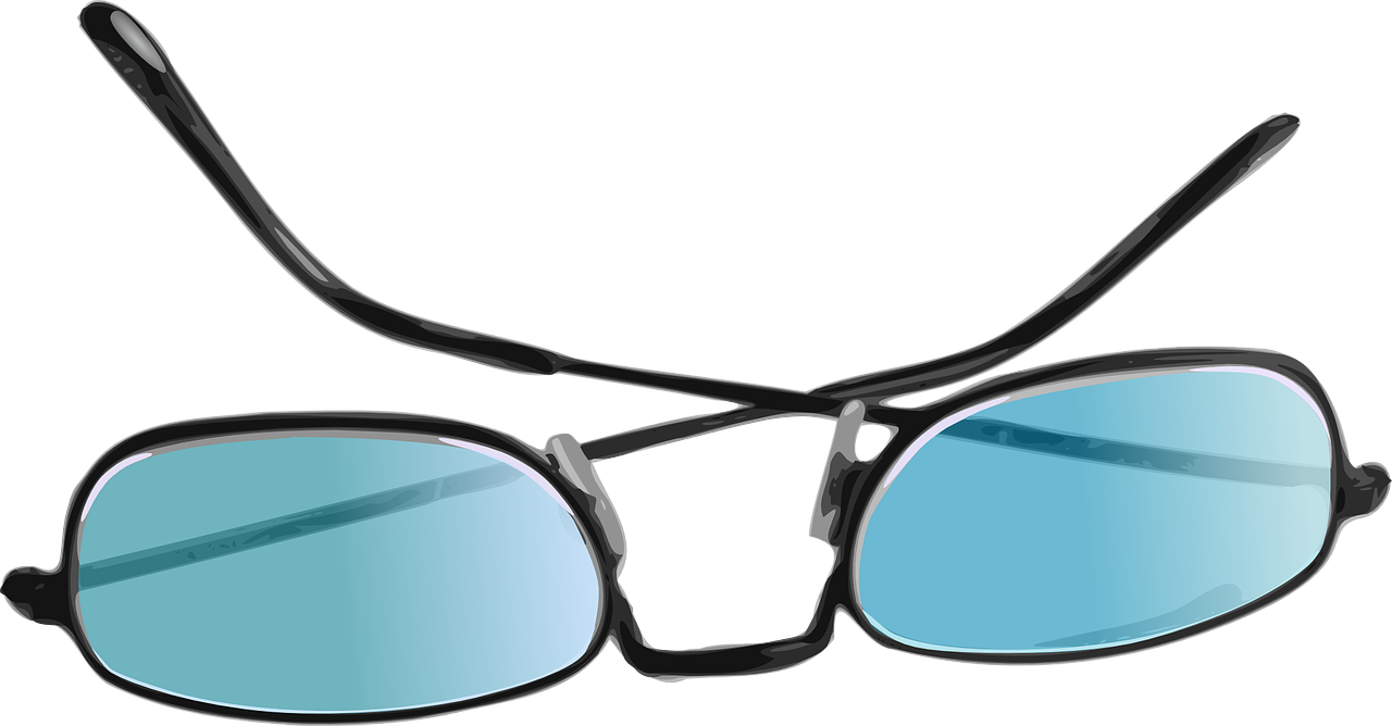 sunglasses eyeglasses glasses free photo