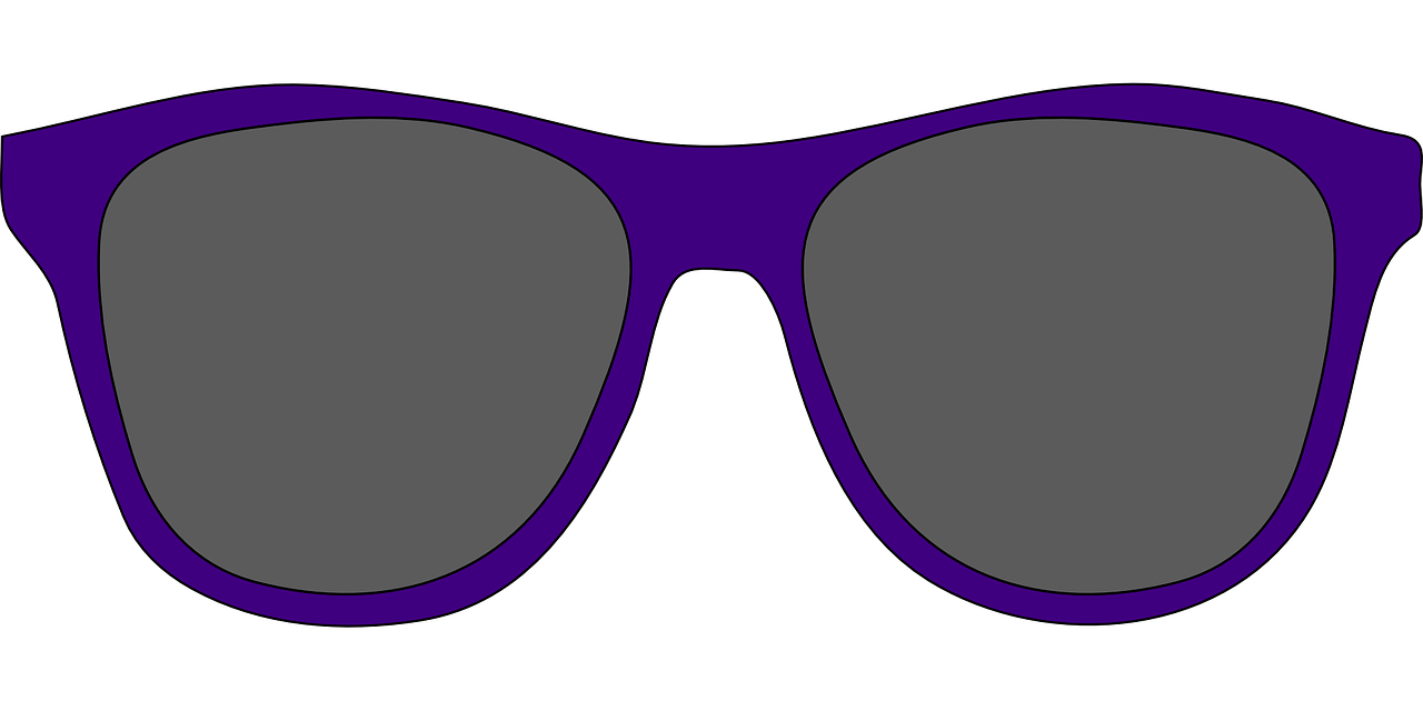 sunglasses glasses shades free photo