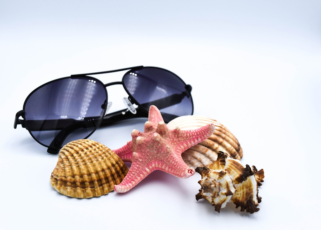 sunglasses seashell summer free photo